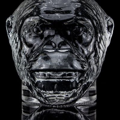 Disegno unico 500ml 750ml Bottiglia di vetro a forma di testa di scimmia per vodka liquore con sughero